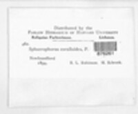 Image Associated With the Occurence